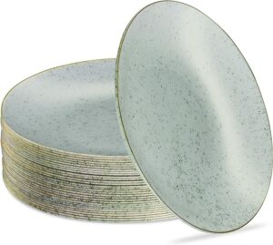 PLASTICPRO 30 Pack Disposable Plastic Plates
