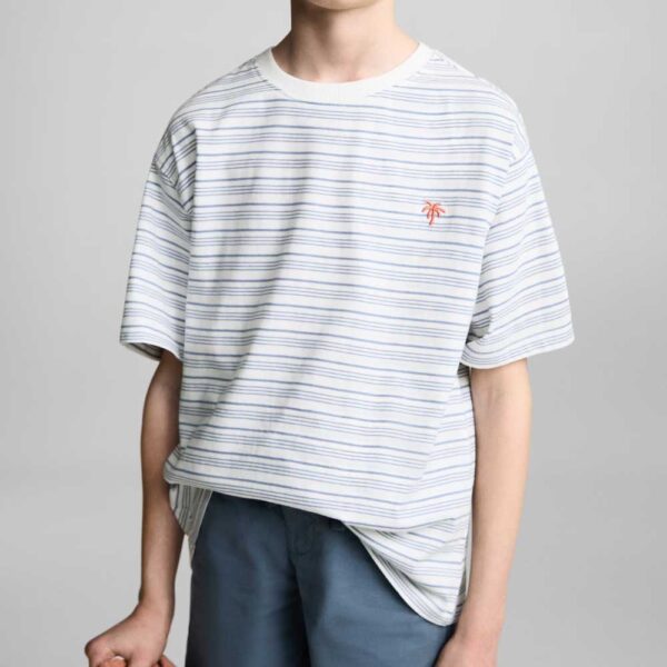 Striped t-shirt with embroidered detail Blue