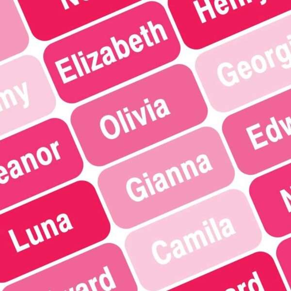 Personalized Waterproof Name Labels Press and Stick