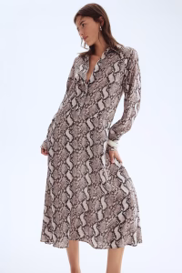Long Shirt Dress