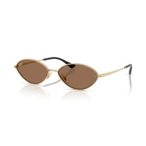 Ray-Ban Kai 56mm Oval Sunglasses