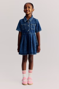 Pleated Denim Dress