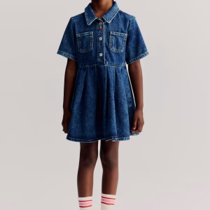 Pleated Denim Dress
