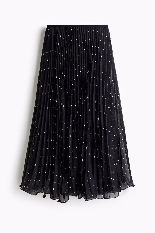 Sheer Pleated Skirt