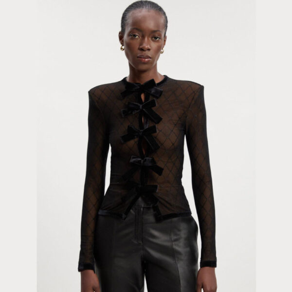 Mesh With Velvet Bow Trim Detail Crew Neck Long Sleeve Top