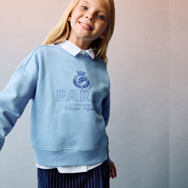 Printed embroidered sweatshirt Sky Blue
