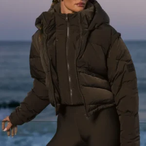 Glacier Puffer