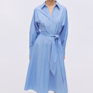 Shirt Dress
