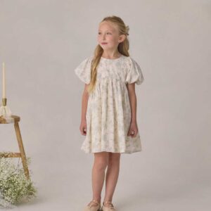 Noralee Luna Dress Mist English Rose