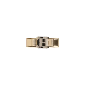Ferragamo Accessories Golden Brass