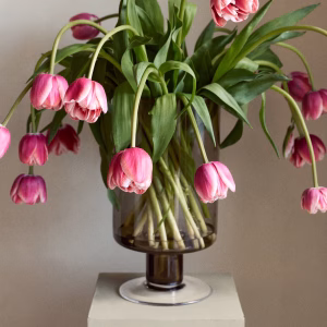 Large Tinted Glass Vase