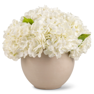 Azalea RealTouch Hydrangea Arrangement - Grande CocoBella