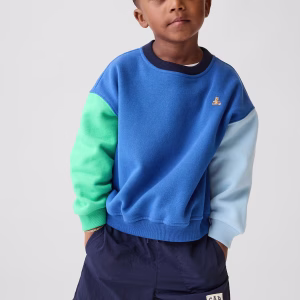 Baby & Toddler VintageSoft Colorblock Sweatshirt