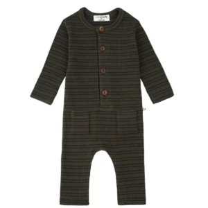 1+ In The Family Goose Stripe Romper
