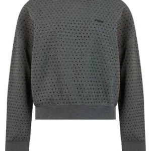 Pinko Cropped Studded Sweatshirt